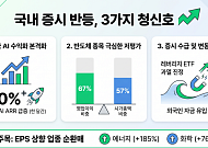美 AI 수요·반도체 순환매…국내 증시 2거래일 연속 상승 비결은?