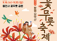 꽃무릇 붉은 물결…함평 모악산서 9월 축제