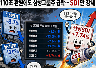 삼성전자 9%·생명 13%↓…역대급 환원에도 그룹株 급락
