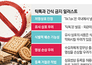 [단독] 과자류에 ‘틱톡’ 상표 못 쓴다…법원 “기존 이미지·명성 훼손 우려 있어”[이름값 무임승차]