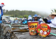 농심, “너구리 속 다시마 버리지마세요”⋯완도 햇다시마 490톤 구매