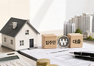 ‘셀러 파이낸싱’의 빛과 그늘