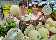 롯데마트, 대형마트 최초 무게만 3.2kg ‘허니듀 킹메론’ 한정 판매