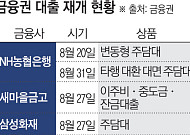 대출 문 다시 열리는데 금리는 오른다⋯실수요자 체감 엇박자