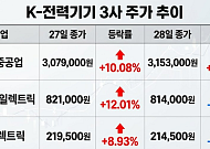 하루 만에 주가 엇갈린 K-전력기기 3인방…"트럼프發 훈풍은 현재진행형"