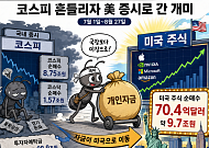 코스피 흔들리자 美 증시로 간 개미…두 달 새 10조원 순매수