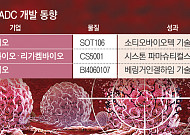 높기만 한 ADC 시장 문턱…국내 기업 개발 언제쯤