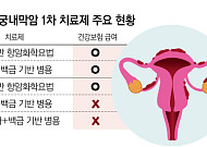 자궁내막암 면역항암제 병용요법, 새로운 표준 확립[2026 여성암 리포트⑤]