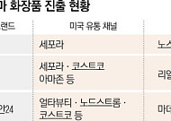 K-제약 더마 화장품, 글로벌서 통한다…미국 시장 공략 본격화