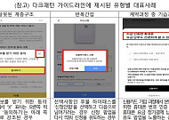 금융사 '온라인 눈속임 상술' 775건 확인⋯은행 198건 최다