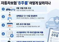 내일부터 자동차보험 ‘8주룰’…손해율 개선 기대 속 ‘풍선효과’ 변수