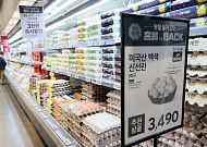 추석 계란값 잡는다…농협 공급 2.4배로 확대