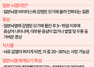 선선해졌다고 모기 방심 금물…일본뇌염 환자 80%가 9~10월 발생 [그래픽]