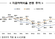 보험사 지급여력비율 215.2%⋯생보 내리고 손보 올랐다