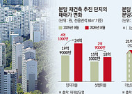 30억 바라보는 분당 ‘국평’⋯재건축·리모델링이 바꾼 가격표