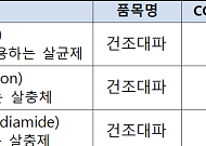 식약처, 건조대파 농약 잔류허용기준 국제기준 채택…라면 수출 비관세장벽 완화