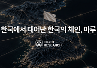 타이거리서치 “해시드 ‘마루’, 한국 금융 규제 체인에 내장”