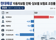 車보험료 0~1%대 조정 뒤엔⋯담보별 인상ㆍ인하는 ‘제각각’