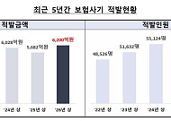 상반기 보험사기 적발액 6200억⋯1년 새 9.1% 늘었다