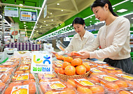 [포토] 농협유통 하나로마트, 가을 제철 과일 ‘청도반시’ 판매