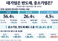 대기업은 반도체, 중소기업은?…수출 성적표 뜯어보니