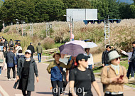 찬 이슬 맺히는 '한로'⋯아침 쌀쌀ㆍ강원엔 서리와 얼음 [날씨]