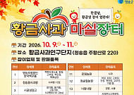 청송군, 한글날 연휴 사흘간 ‘황금사과 마실장터’ 개장… 농특산물 직거래 한마당
