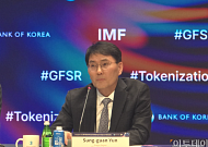 한은 "토큰화 확산 따른 유동성 분절 우려⋯중앙은행 공급체계 설계해야"