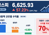 대형주 65% 뛰었는데 소형주는 5% 하락⋯덩치 따라 갈린 주가 [2026 증시 지형도]