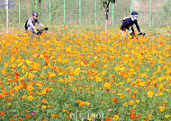 '한글날' 전국 구름 많고 일교차 15도⋯아침엔 내륙 안개 [날씨]