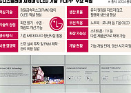 LG디스플레이, 차세대 OLED 기술 ‘FLiPP’ 승부수…“IT 시장 직접 연다”