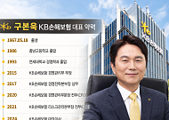 구본욱 KB손보 대표, '회사가치성장률 1위' 향한 체질 개선⋯성적표는 [보험 CEO 연임 레이스 ⑧]