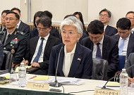 "'불의의 사고' 아냐" 주미대사 발언 하루 만에 해명...野 "대사 흔들지 말라"