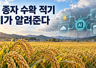 비 오기 전 벼 수확할까…AI가 종자 수확 적기 알려준다