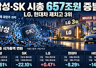‘6000피 붕괴 위기’ 삼성·SK 시총 657조 증발…LG는 현대차와 시총 뒤바뀜
