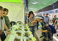 30돌 맞은 봉화송이축제 개막…할인 혜택·먹거리로 관광객 맞이