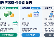 사망보험금으로 간병·요양 받는다더니… '서비스형' 연내 출시 불투명