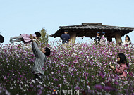새벽 수도권ㆍ강원 곳곳 비⋯낮 최고 26도 [날씨]