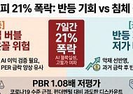 코스피 7일간 21% 폭락…공포 매수할까 장기 침체일까