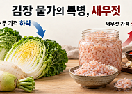 배추값 걱정 덜었더니 새우젓 32%↑…김장 물가 복병 된 젓갈