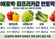 애호박·파프리카값 반토막…정부, 할인 카드로 ‘농가 구하기’