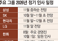 연말 인사 앞당기는 재계⋯‘관리형 CEO’보다 ‘실행형 리더’ 뜬다 [재계 인사 셈법]