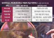반도체 투자할 곳 넘치는데⋯SK하닉, 美 자본시장 활용론 고개 [AI 반도체 자본 경쟁]
