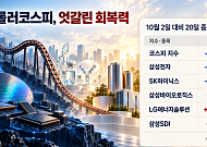 ‘롤러코스피’서 엇갈린 회복력…반도체 부진 속 바이오·배터리 선방