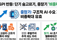 코스피 반등에도 경계감 여전…해외선 "AI 숨 고르기 속 비중확대"