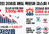 외국인 208조 매도세, 올해만 특별한걸까…최근 3년 외인 투자 방향은?