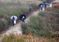 [내일날씨] ‘상강’ 아침 최저 3도…낮부터 추위 풀려