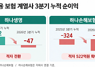 하나생명·손보, 나란히 순익 뒷걸음⋯'질적 성장'으로 반등 모색