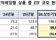 퇴직연금 계좌 속 ETF 100조…금감원 “원금보장 아냐”