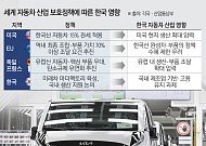 美는 관세ㆍEU는 역내 우대⋯자국 車 지키는 세계, 한국은 어디에 [韓 자동차 생태계 빨간불下]